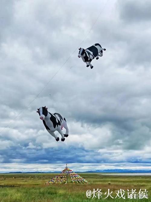 极速草原滑降：感受自然与速度的完美交融